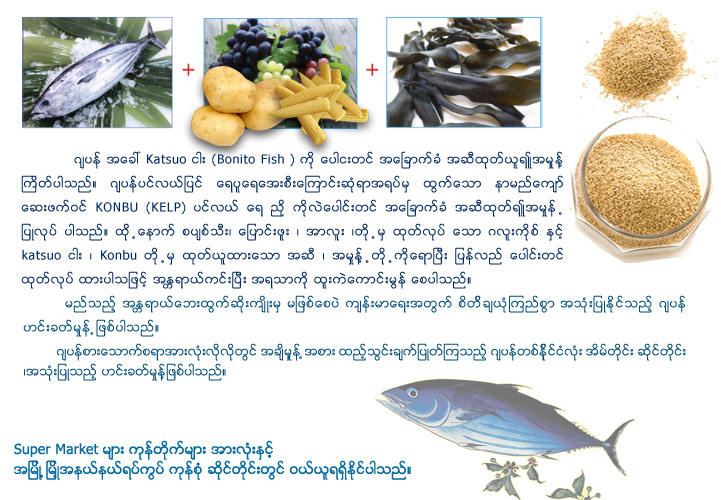 株式会社ブライトウィング Bright Wing (Japan) And Myanma Bright Wing Co., Ltd (Myanmar) 株式会社ブライトウィング , Myanma Bright Wing
