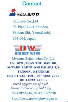 Myanma Bright Wing , 株式会社ブライトウィング  Bright Wing (Japan) 